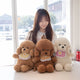 ZU Kawaii Plush Backpacks Stuffed Animal Teddy Dog Poodle Bear Bags Cute Children Teenager Gifts Soft School Backpack