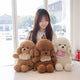 ZU Kawaii Plush Backpacks Stuffed Animal Teddy Dog Poodle Bear Bags Cute Children Teenager Gifts Soft School Backpack