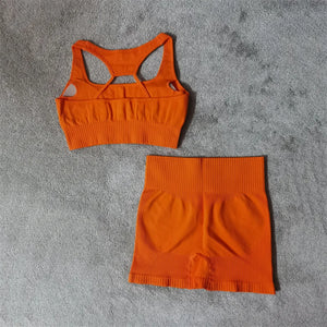 Fitness Yoga Set Seamless Sport Women's Sportswear High Waist Leggings Workout Outfits Two Piece Shorts Sets Womens Gym Clothing