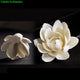 New Arrival 1PC Incense Holder Ash Catcher Long Leafs Censer Meditation Home Decor Accessories