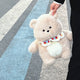 ZU Kawaii Plush Backpacks Stuffed Animal Teddy Dog Poodle Bear Bags Cute Children Teenager Gifts Soft School Backpack